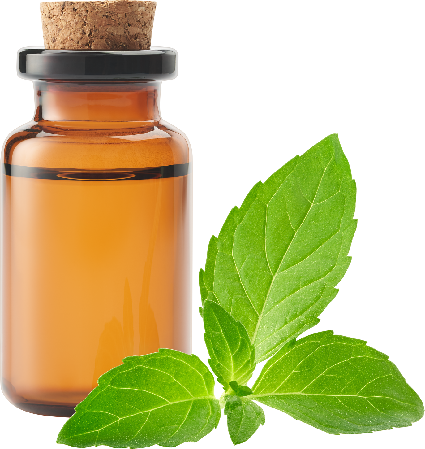 Peppermint essential oil